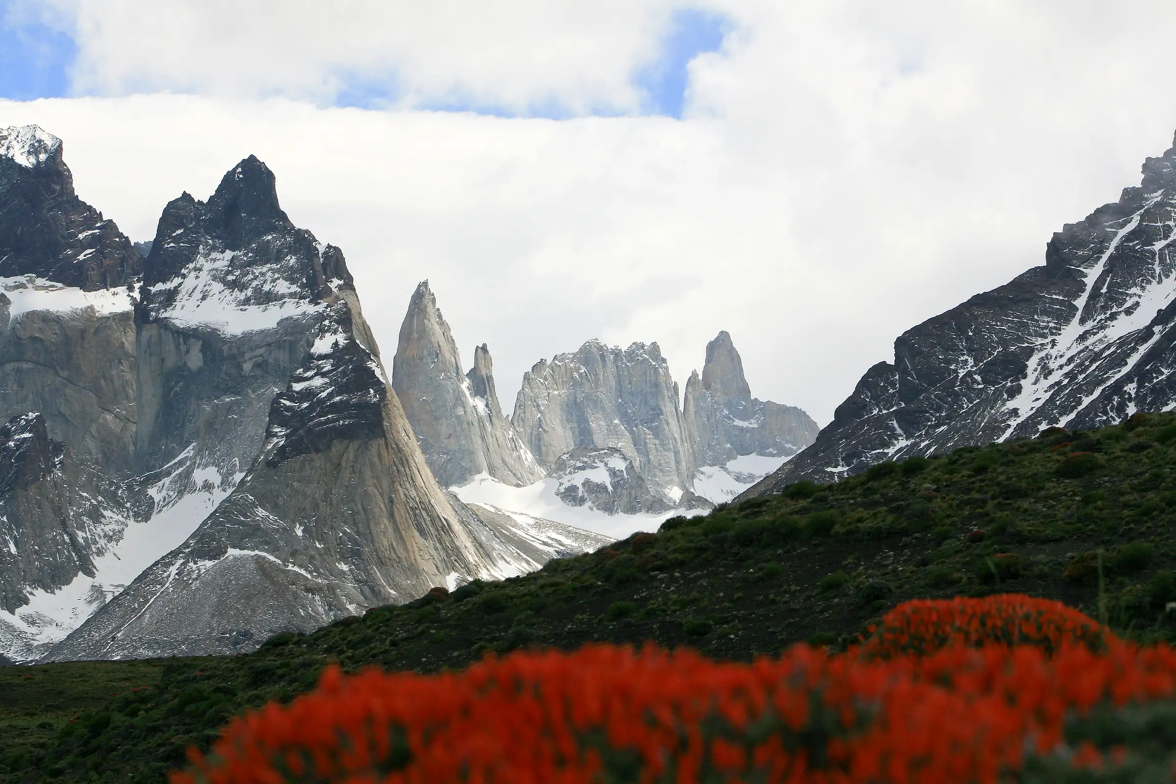 The Cuernos and the granite towers of Torres del Paine above red flowering shrubs, Chile