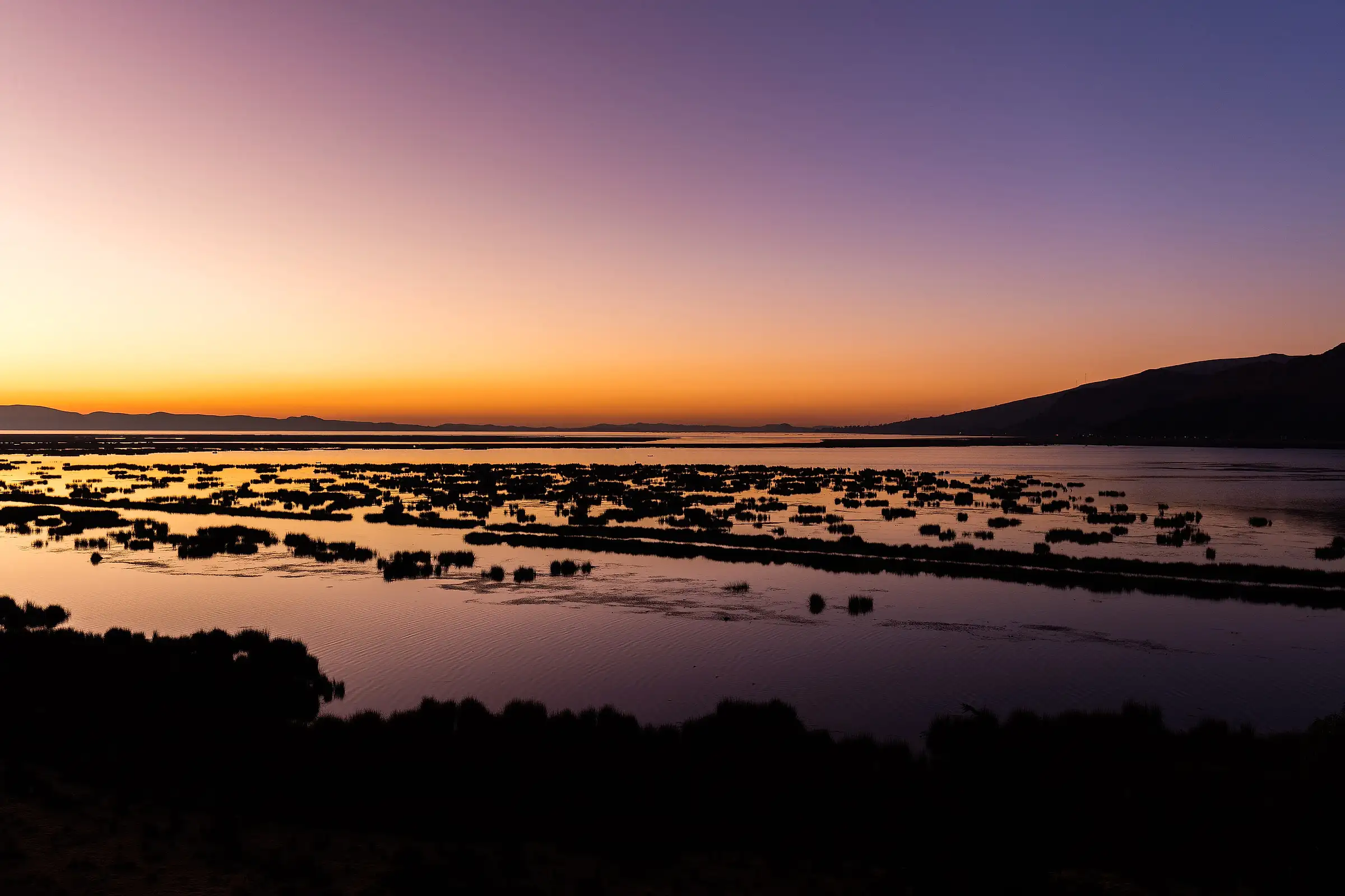 Sunrise over Lake Titicaca and its reed beds near Puno, on the border between Peru and Bolivia
