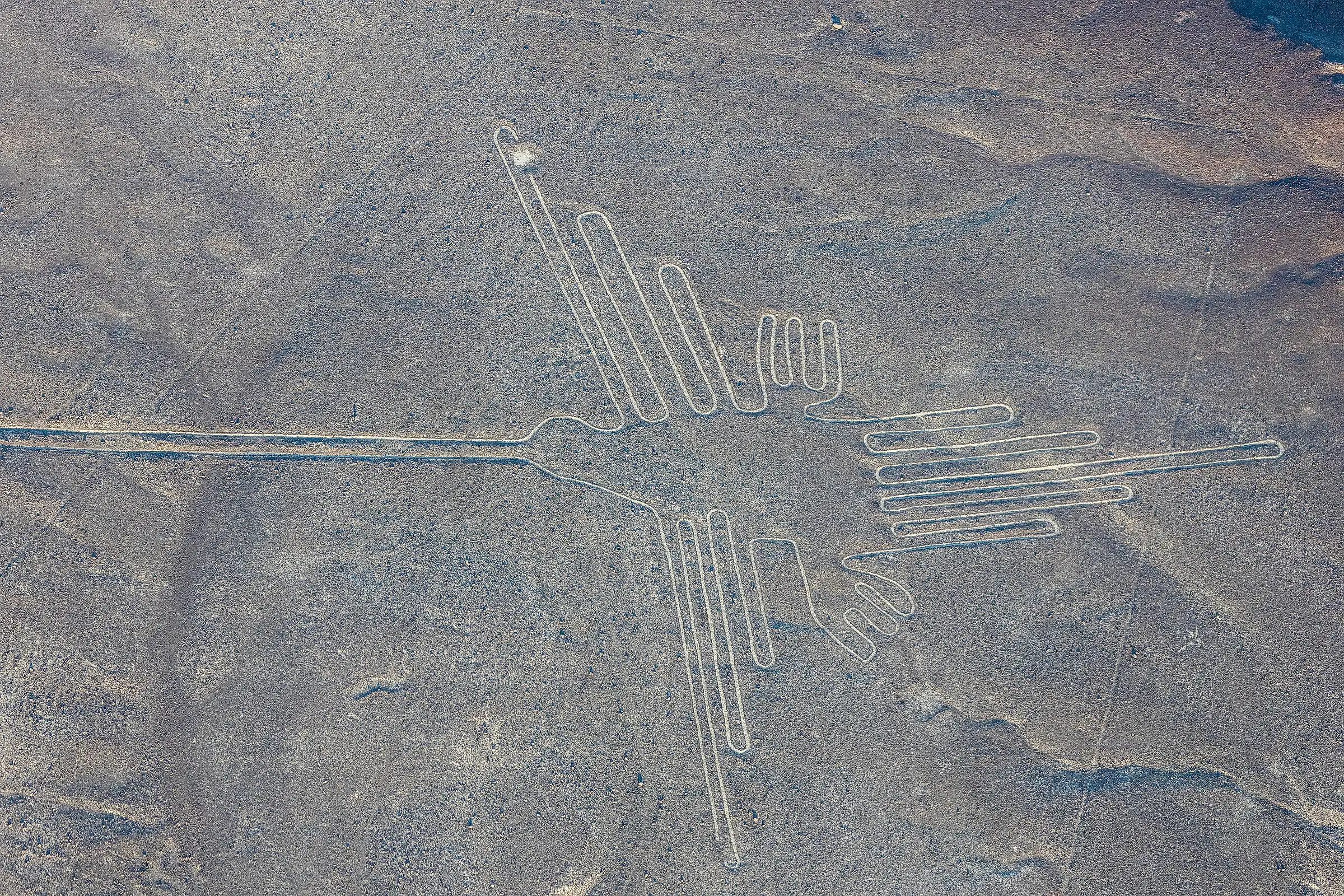 The hummingbird geoglyph of the Nazca Lines seen from a light aircraft over the desert