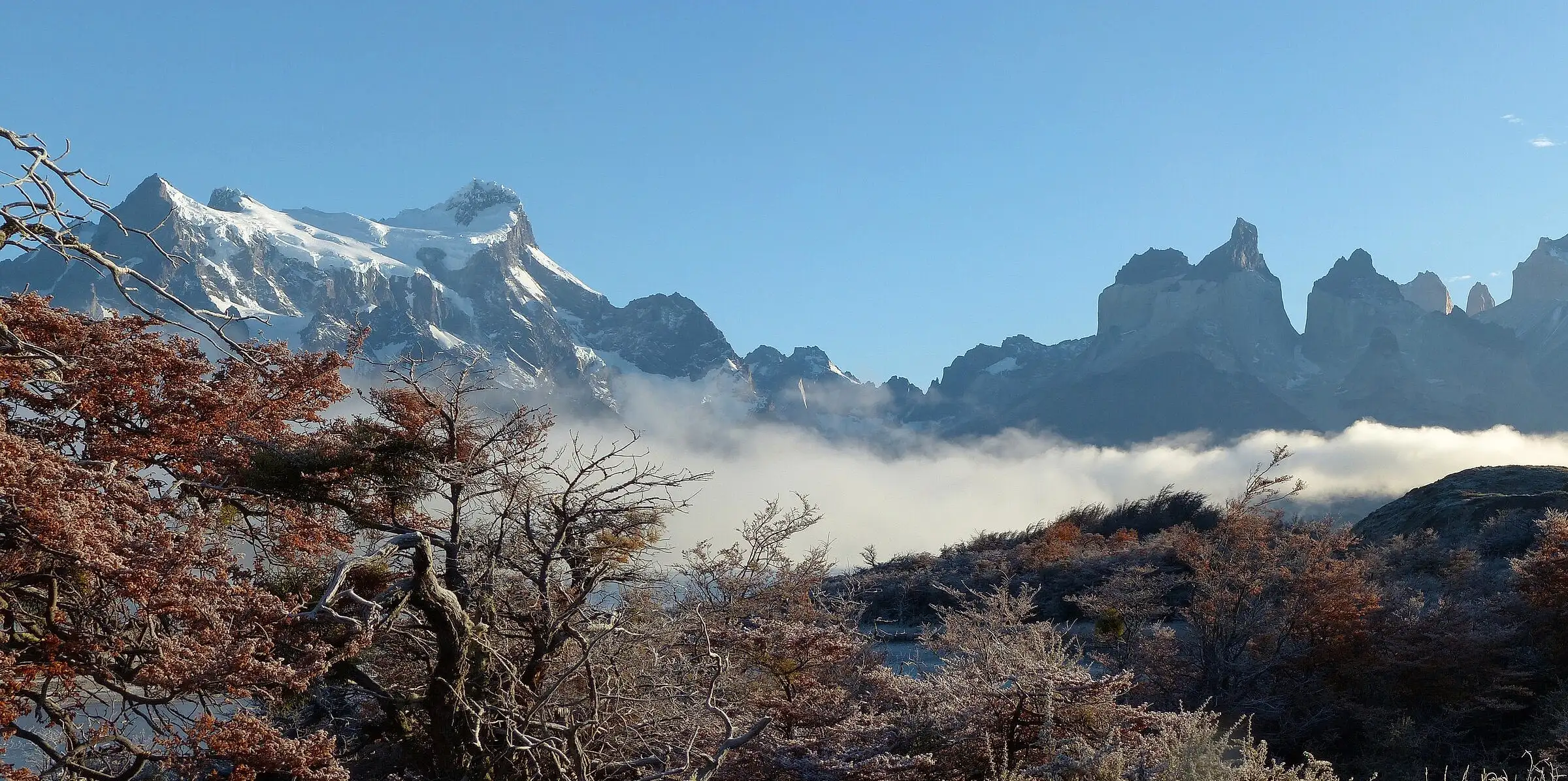 Autumn lenga trees touched with frost below the Paine massif and the Cuernos, with fog lying on the lake, Torres del Paine, Chile