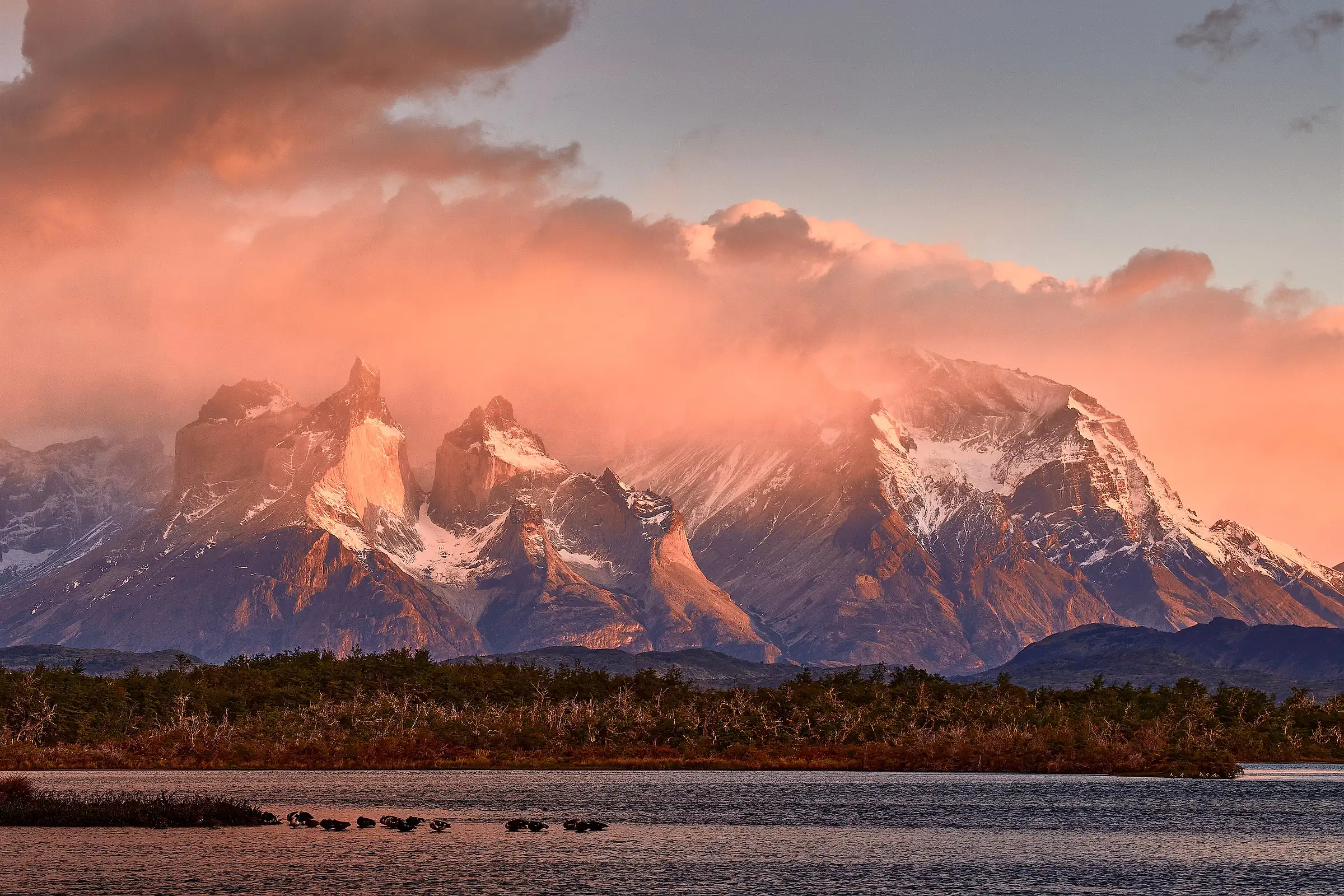 The Cuernos del Paine lit pink at sunset above the water in Torres del Paine, Chile